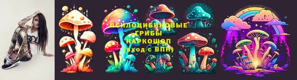 гашик Кодинск