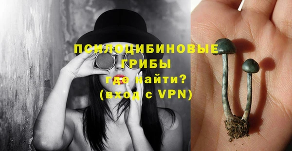 гидра Козельск