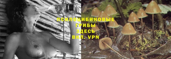 ешки Козловка