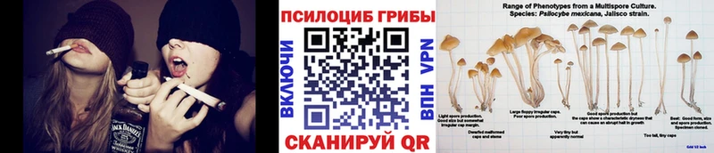 Галлюциногенные грибы мицелий  OMG как зайти  Клинцы 