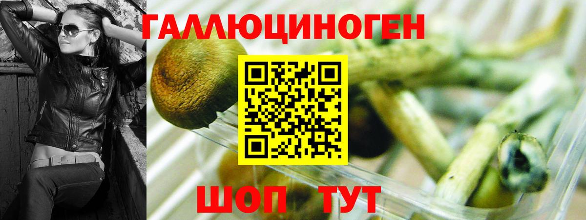 Клинцы  МДМА  Каннабис  Вход с VPN  Гашиш  МЕФ кристаллы 